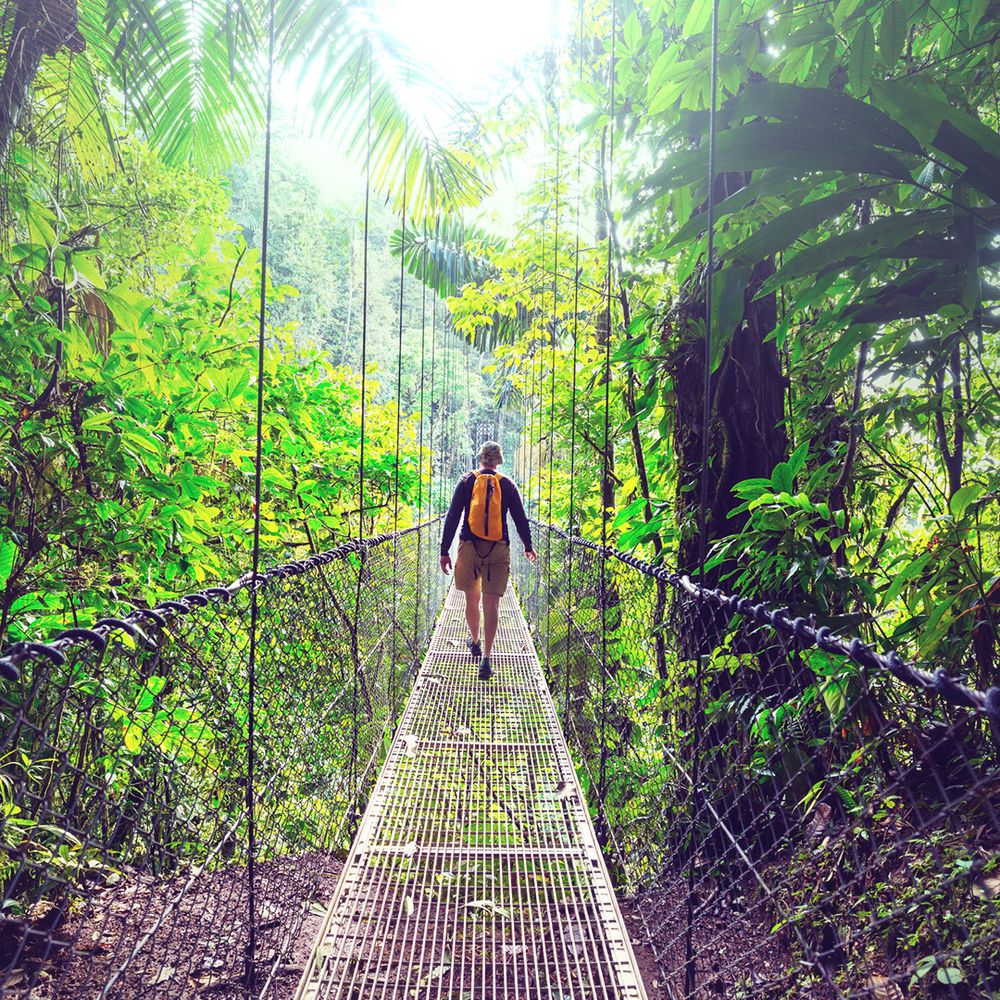 Arenal Hanging Bridge