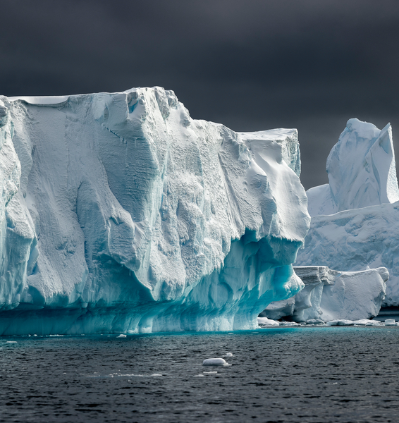 Icebergs in Port Charcot, Antarctic Peninsula