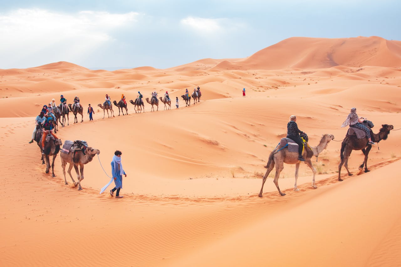 Travel by Camel, Africa