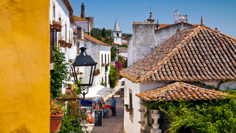 portugal rooftops